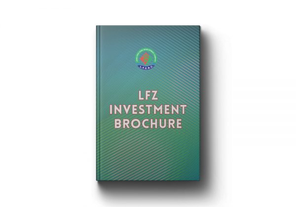 LFZ Investment Brochure